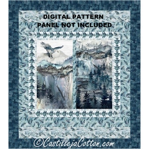 Soaring Eagle Queen Quilt ePattern, 5668-2e, digital pattern, Eagle Panel Queen Quilt Pattern, Northcott Fabric Soar