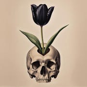 BlackTulipTokens store logo