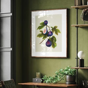Stampa botanica di fico - Edizione limitata / Decorazione murale giclée Ficus Carica / Illustrazione di frutta per interni / Regalo per lei