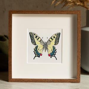 Swallowtail Butterfly Watercolor painting - Botanical Illustration for Nature Lovers | Colorful Insect Wall Art | Handcrafted Painting