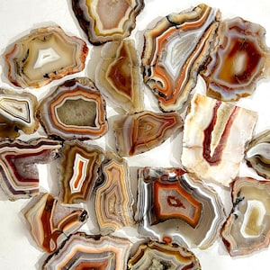 May include: A collection of polished agate slices featuring concentric bands of white, cream, tan, orange, and deep red. Each stone displays unique mineral patterns with translucent and opaque sections, showcasing natural geological formations.