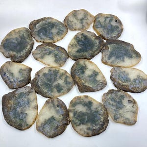 以下が含まれることがあります： 半透明のオフホワイトとクリーム色のベースに、苔のような濃い緑色の樹枝状のインクルージョンが有機的で枝分かれしたパターンで広がっている、不規則で平らな研磨された石のスライス15枚のコレクション。