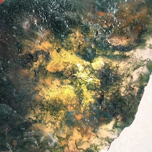 May include: A polished slab of moss agate featuring a translucent, light-colored base with intricate, dark green, fern-like dendrite inclusions and warm, golden-yellow patches that create a complex, organic, and multi-layered visual texture.
