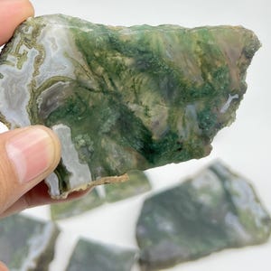 May include: A polished slice of moss agate featuring translucent white and grey areas with deep green, fern-like dendritic inclusions. The stone has an irregular, organic shape with a smooth, glossy surface texture and visible natural mineral patterns.