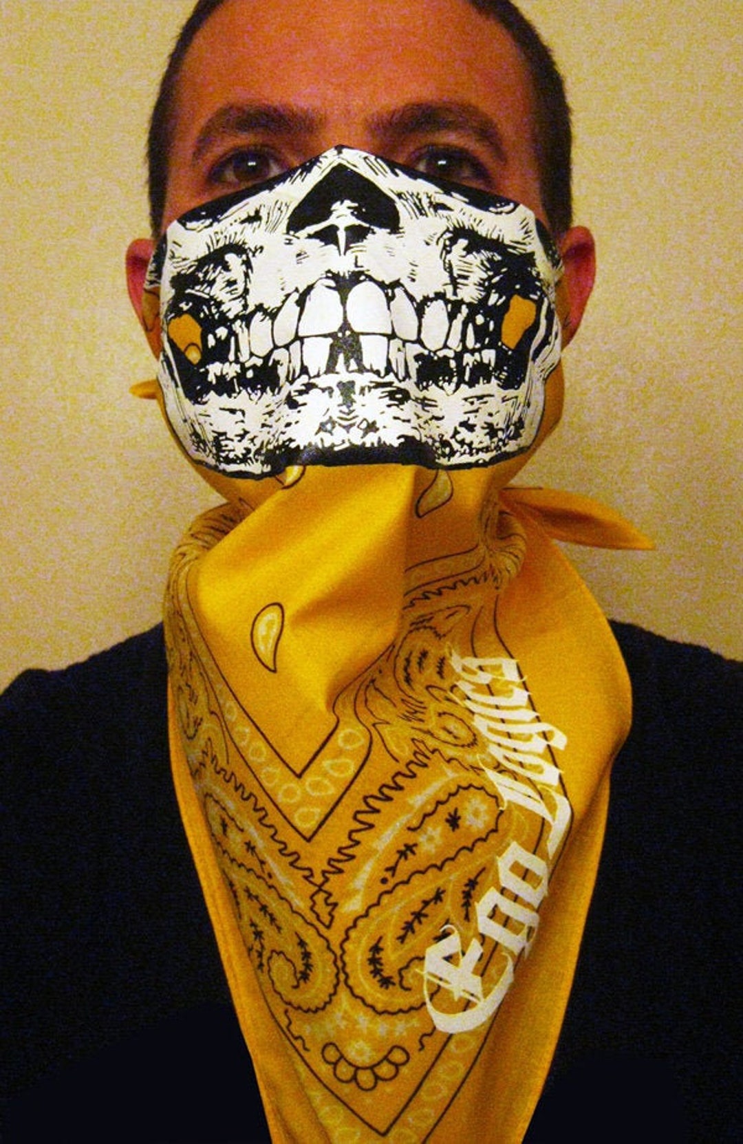 【値下げ】ACIDTONE BUZZ FACE Paisley 値下げ】ACIDTONE BUZZ FACE Paisley