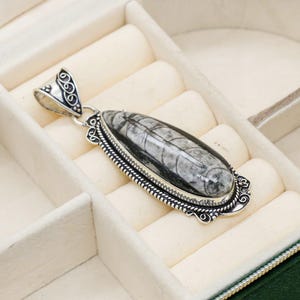 Orthoceras Fossil Pendant: Handmade Sterling Silver Necklace