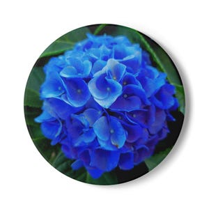 Blue Floral Ceramic Coaster, Drinkware Coasters, Home Decor, Eco-Friendly Gifts