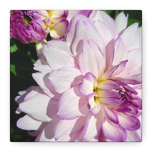 Floral Canvas Wall Art: Pink Flower Home Decor