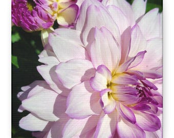 Floral Canvas Wall Art: Pink Flower Home Decor