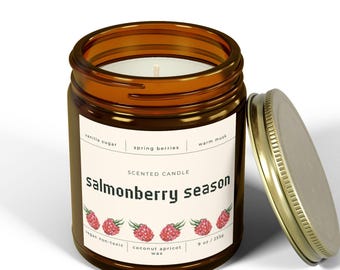 Cozy Gamer Candle, Stardew Valley Inspired Pelican Town Candle, Salmonberry Scented Soy Candle, Cottagecore Home Decor, Video Game Gift