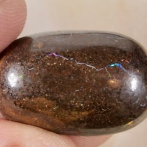 May include: A brown and black oval-shaped opal gemstone with iridescent flashes of color.