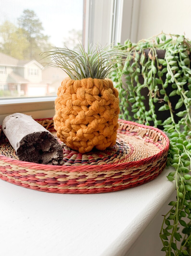 Pineapple Air Plant Holder Air Plant Holder Pineapple Etsy