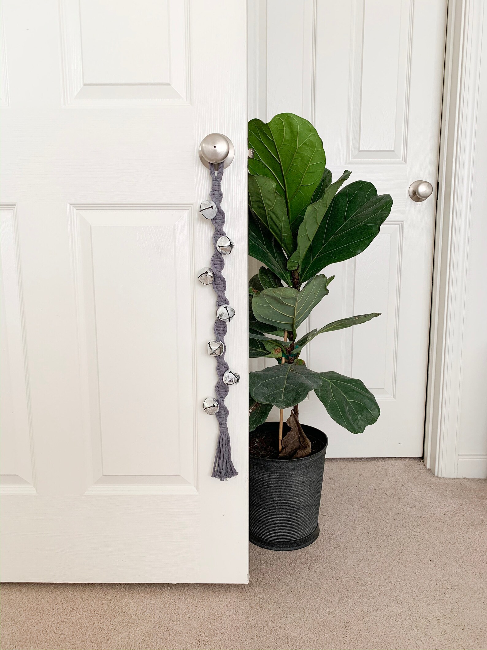 Dog Potty Training Bells Puppy Potty Training Dog Potty Etsy