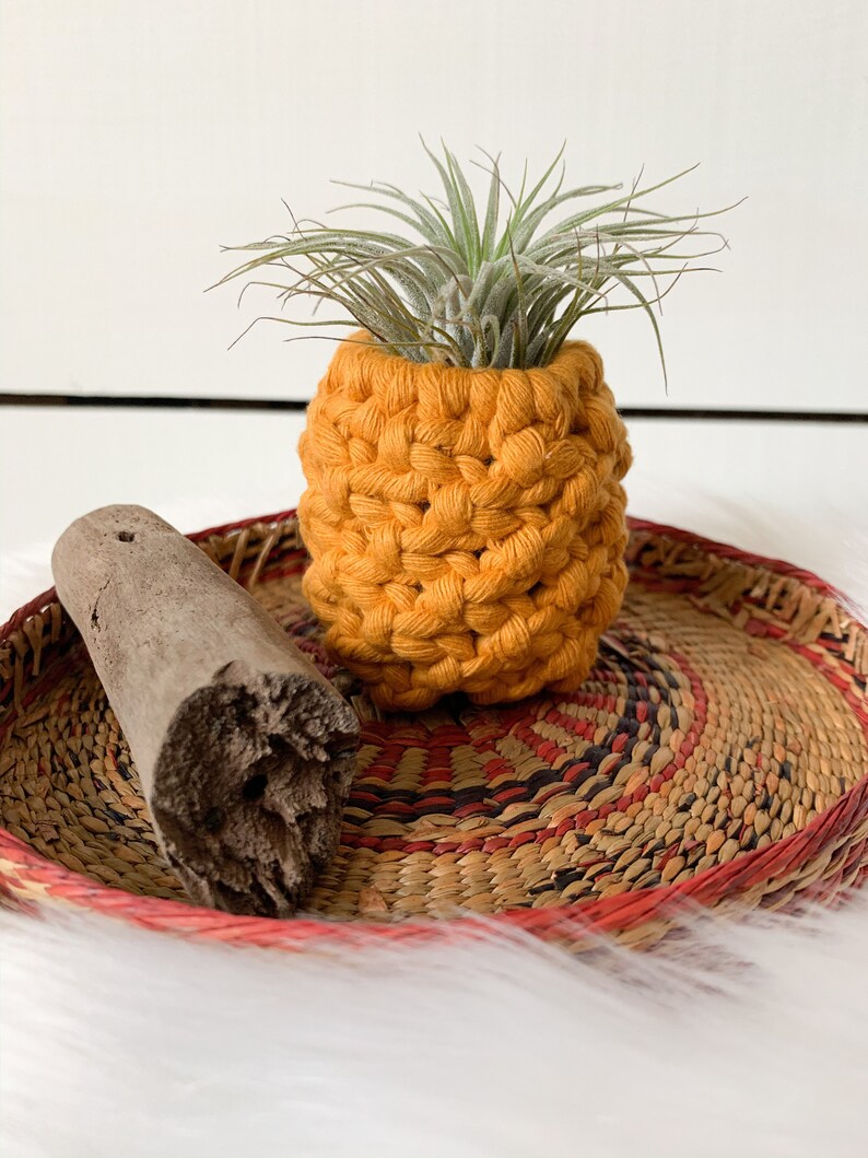 Pineapple Air Plant Holder Air Plant Holder Pineapple Etsy