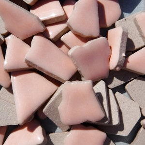 Pale Pink Mosaic Ceramic Tiles - Jigsaw Puzzle Shaped Pieces - Half Pound - Assorted Sizes Random Shapes