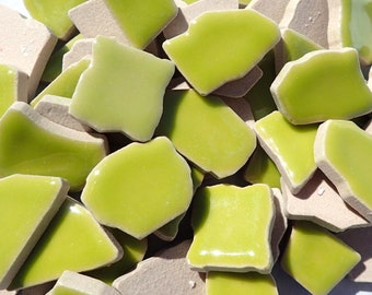 Kiwi Green Mosaic Ceramic Tiles - Jigsaw Puzzle Shaped Pieces - Half Pound - Assorted Sizes Random Shapes