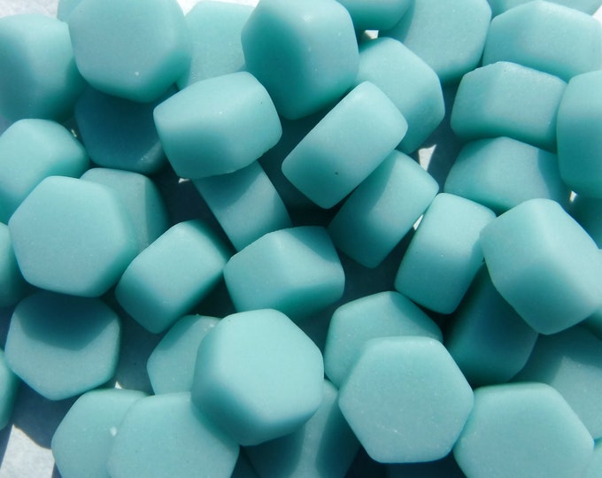 Light Teal Hexagon Mosaic Tiles - 10mm - 50g Opaque Matte Finish