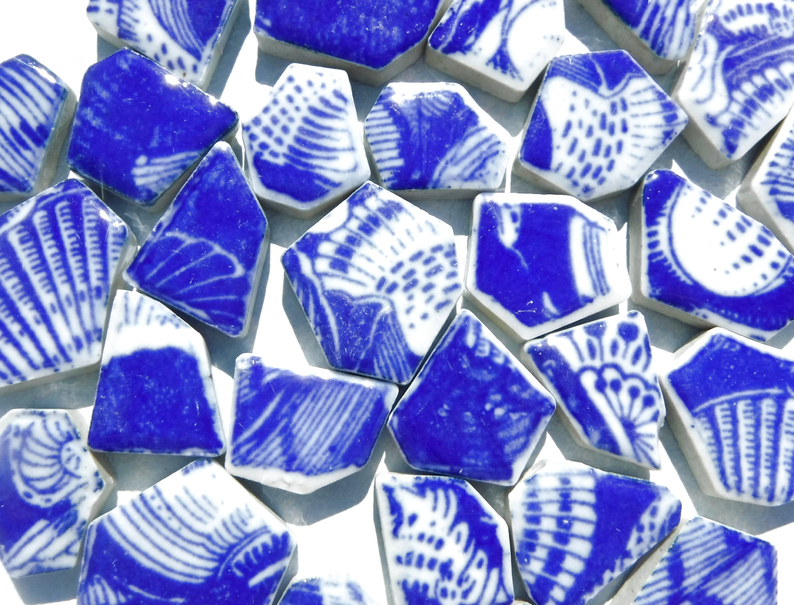 Blue And White Chunky Mosaic Tiles With Sea Shell Patterns Half Pound