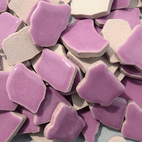 Purple Mosaic Ceramic Tiles - Random Shapes - Half Pound - Assorted Sizes Jigsaw Pieces