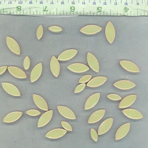 Pistachio Green Petals Mosaic Tiles 50g Ceramic Leaves in Mix of 2 Sizes 1/2 and 3/4 Muted Peppermint Green image 6