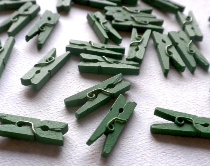 Kelly Green Mini Clothespins - 25 - 1" or 2.5 cm - Wooden - Great for Scrapbooking Paper Crafts and Party Favors