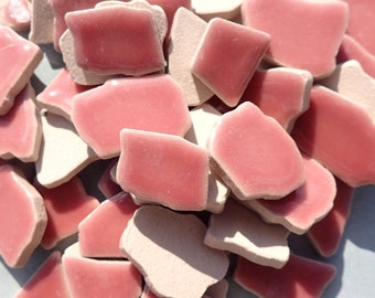 Dusty Pink Mosaic Ceramic Tiles - Jigsaw Puzzle Shaped Pieces - Half Pound - Assorted Sizes Random Shapes