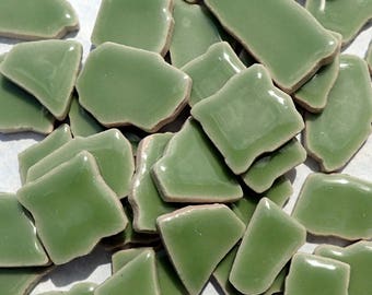 Jade Green Mosaic Ceramic Tiles - Jigsaw Puzzle Shaped Pieces - Half Pound - Assorted Sizes Random Shapes