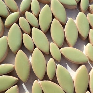 Pistachio Green Petals Mosaic Tiles 50g Ceramic Leaves in Mix of 2 Sizes 1/2 and 3/4 Muted Peppermint Green image 1