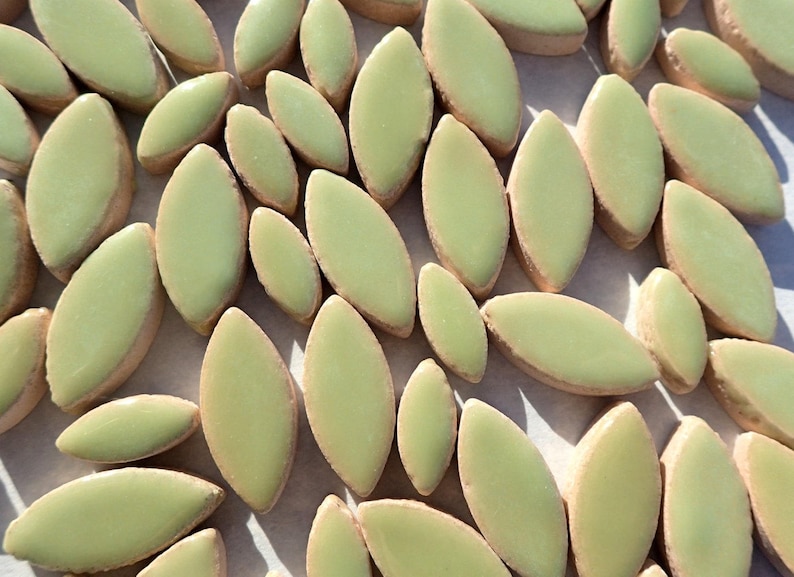 Pistachio Green Petals Mosaic Tiles 50g Ceramic Leaves in Mix of 2 Sizes 1/2 and 3/4 Muted Peppermint Green image 1