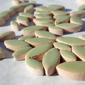 Pistachio Green Petals Mosaic Tiles 50g Ceramic Leaves in Mix of 2 Sizes 1/2 and 3/4 Muted Peppermint Green image 4