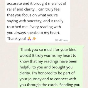 May include: Screenshot of a mobile messaging conversation between two people. The messages discuss a tarot reading, with one person expressing gratitude for the clarity and accuracy of the reading. The conversation is set against a light background.