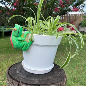 May include: A white plant pot with a green and red frog decoration, holding a spider plant. The pot sits on a tree stump. The spider plant has long, green and white striped leaves. The background includes pink flowers and green grass.