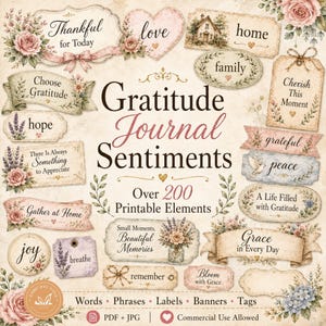 May include: A collection of printable digital elements featuring the text Gratitude Journal Sentiments, Over 200 Printable Elements, Words, Phrases, Labels, Banners, Tags, PDF + JPG, and Commercial Use Allowed, decorated with floral illustrations.
