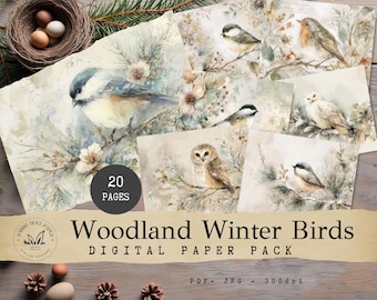 May include: A digital paper pack titled "Woodland Winter Birds" featuring watercolor illustrations of various birds on branches with winter foliage. The pack includes 20 pages. The image also shows a nest with eggs.
