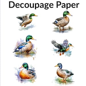 Puede incluir: Papel de decoupage con ilustraciones de acuarela de patos en varias poses. Los patos tienen cabezas verdes, cuerpos marrones y detalles azules y blancos. El texto "Decoupage Paper" está en la parte superior de la imagen.