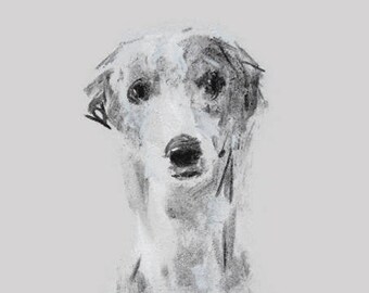 Dog drawing print, Whippet Grey Charcoal Drawing  - fine art dog print - whippet gift - whippet sketch print