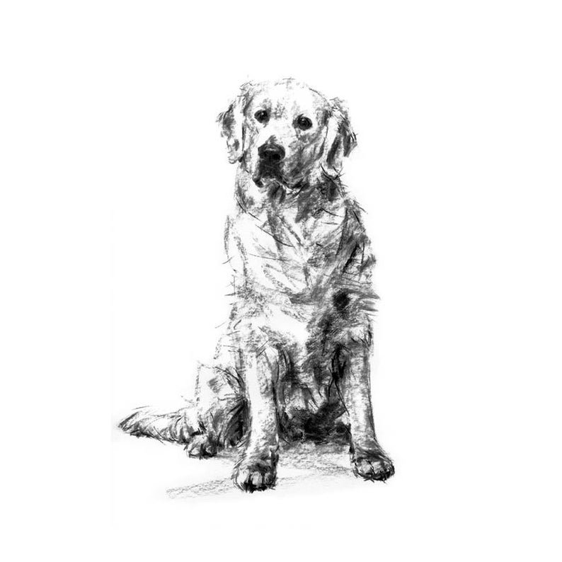 hond tekening afdrukken golden retriever tekening kunst | etsy