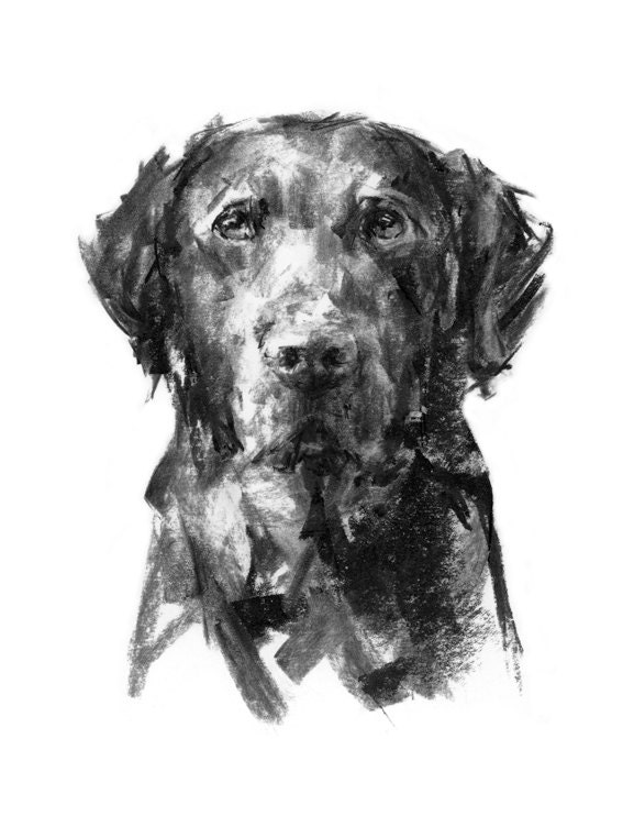 Dog Drawing Print Black Labrador Dog Portrait Drawing Fine - Etsy UK