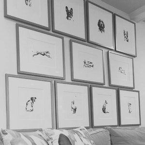 Op de afbeelding: Een galeriewand met zwart-wit illustraties van honden in verschillende poses, ingelijst in witte en zwarte lijsten.