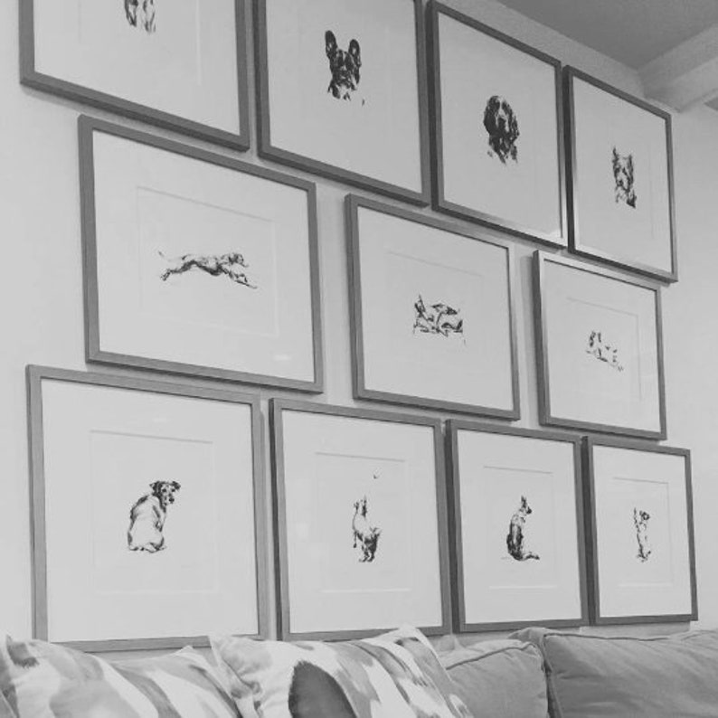 Op de afbeelding: Een galeriewand met zwart-wit illustraties van honden in verschillende poses, ingelijst in witte en zwarte lijsten.