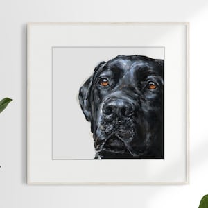 Black Labrador dog print -  unframed Ltd. Ed. print - Labrador gift, black labrador portrait, dog portrait, labrador picture, labrador art