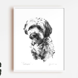 Cockapoo Dog Portrait Print, Charcoal Sketch Art