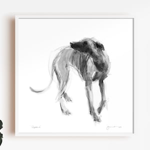Greyhound drawing print, Lurcher "Vagabond"  - fine art dog print - lurcher sighthound gift - lurcher sketch print, galgo print, greyhound