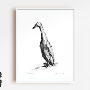 Duck drawing print, Runner Duck sketch, fine art print - duck drawing - duck lover gift, Farmyard art, duck wall art print, country home art