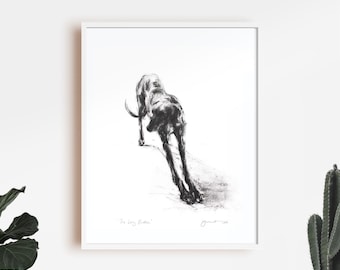 Greyhound drawing "The Long Stretch" , Dog drawing print, fine art dog print, greyhound gift, greyhound lover, greyhound wall art, longdog