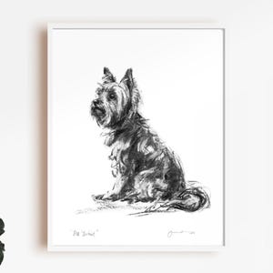 Yorkshire Terrier print - fine art dog print - Yorkie gift, Yorkie print, Yorkie wall art, Yorkie present,  Yorkie lover gift