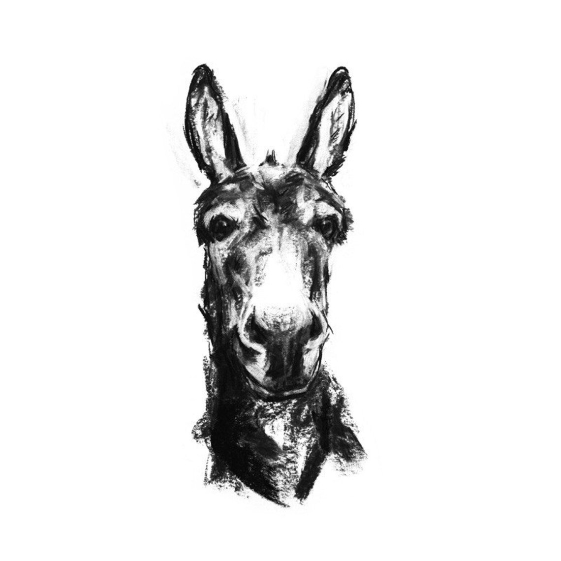 Donkey drawing print Donkey art print from a charcoal Etsy