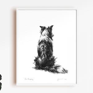 Border Collie wall art, Sheepdog Dog sketch - fine art dog print - Border Collie lover gift, sheepdog art, collie dog decor