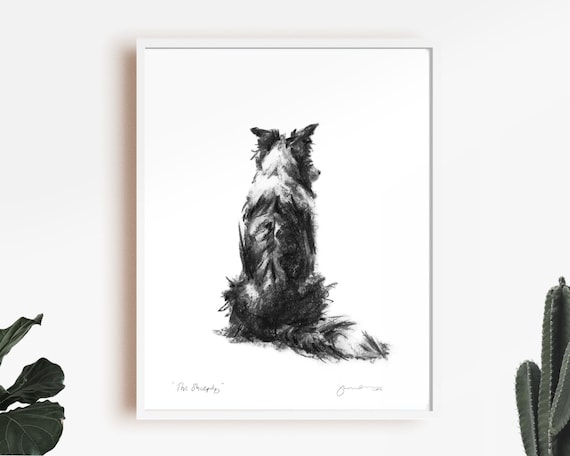 Border Collie Art Print, Sheepdog Sketch, Dog Lover Gift