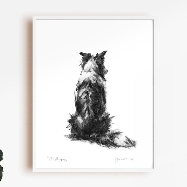 Border Collie Art Print, Sheepdog Sketch, Dog Lover Gift